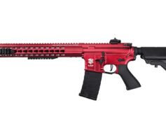 Rifle Airsoft APS ASR 119 Custom