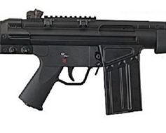 Rifle Airsoft G&G FS51 Fixed Stock